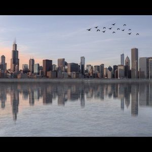 Meet your Posher, Ava